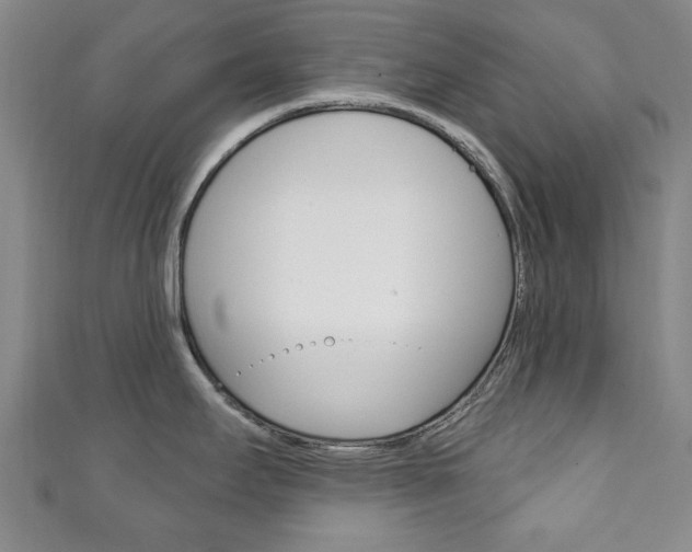 X0000111241295200907020951