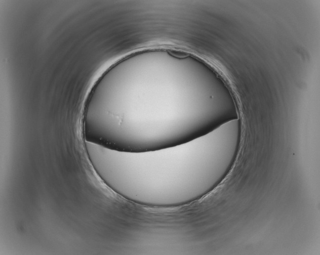 X0000111241296200907020951