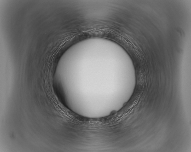 X0000111241297200907020950