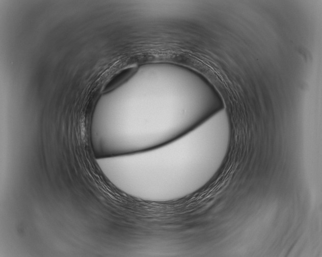 X0000111241298200907020950