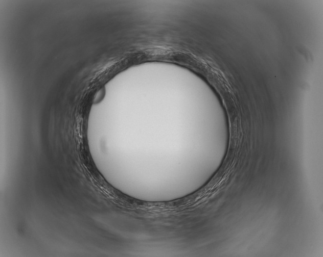 X0000111241301200907020950