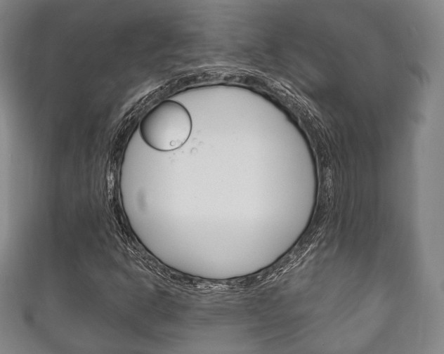 X0000111241302200907020950