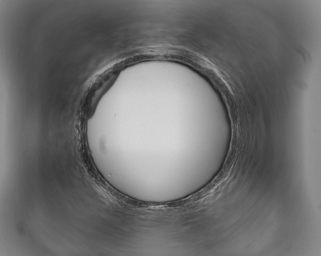 X0000111241304200907020950