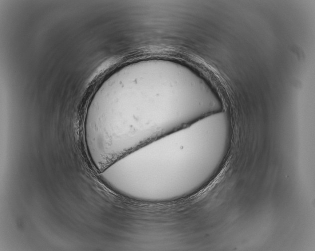 X0000111241306200907020950