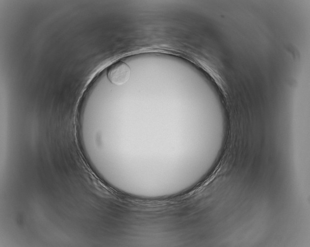 X0000111241308200907020950