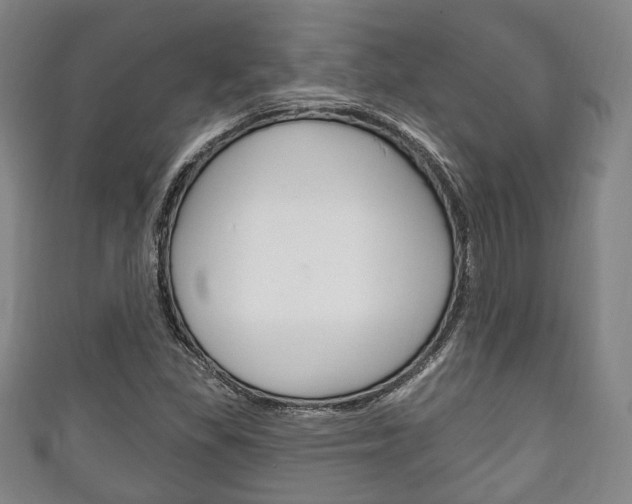 X0000111241309200907020950