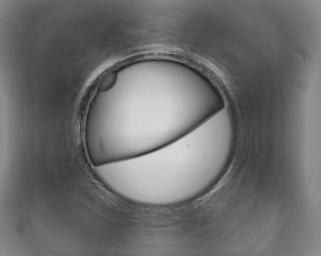 X0000111241310200907020950