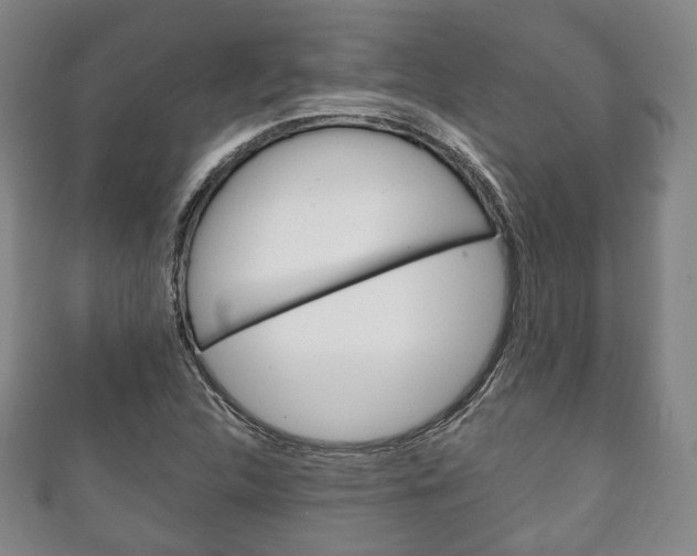 X0000111241312200907020950