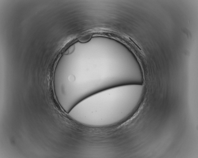 X0000111241313200907020950