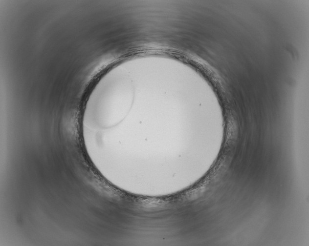 X0000111241314200907020950