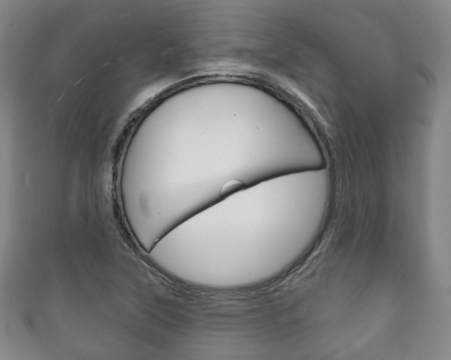 X0000111241315200907020950