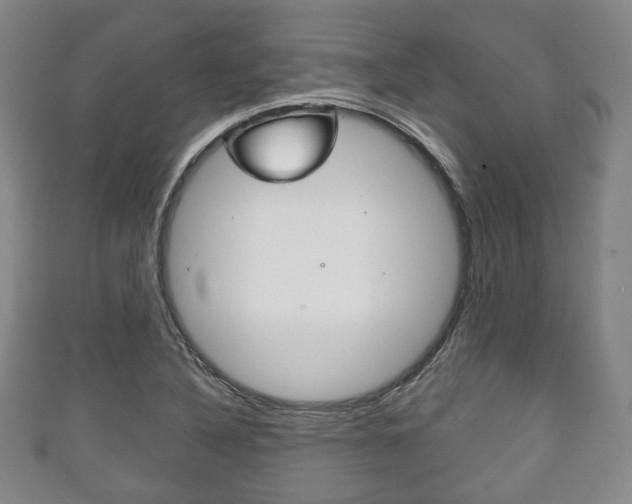 X0000111241316200907020950