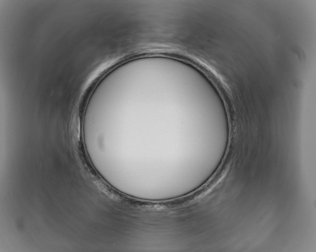 X0000111241317200907020950