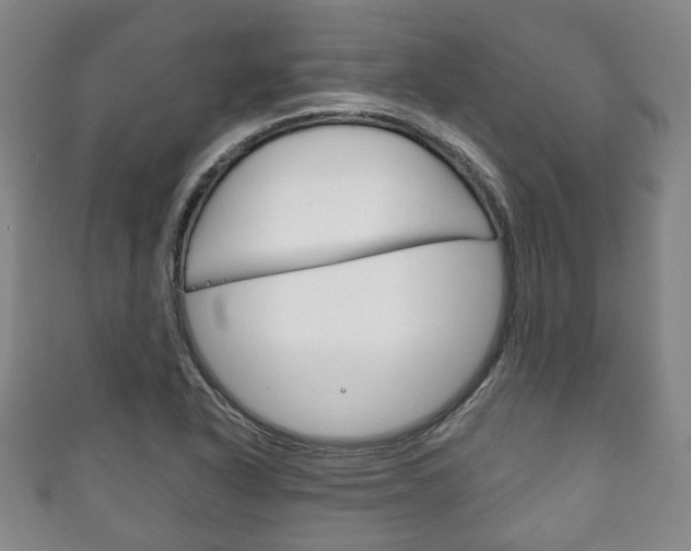 X0000111241318200907020950