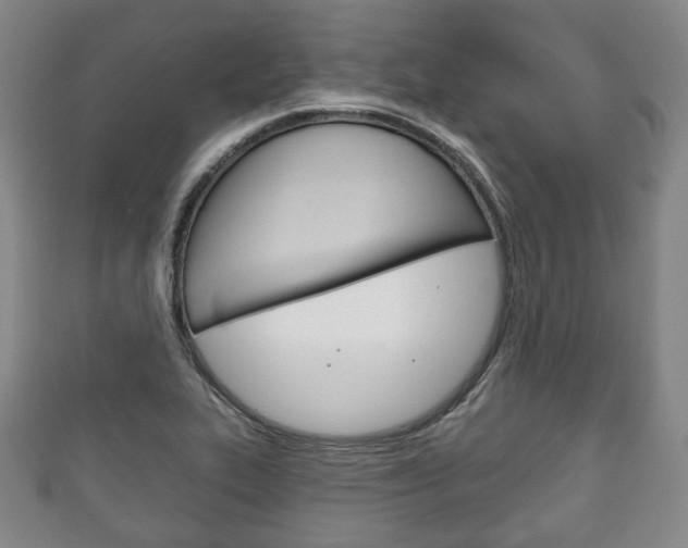 X0000111241319200907020950