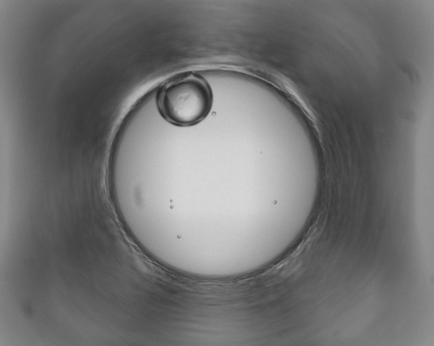 X0000111241320200907020950