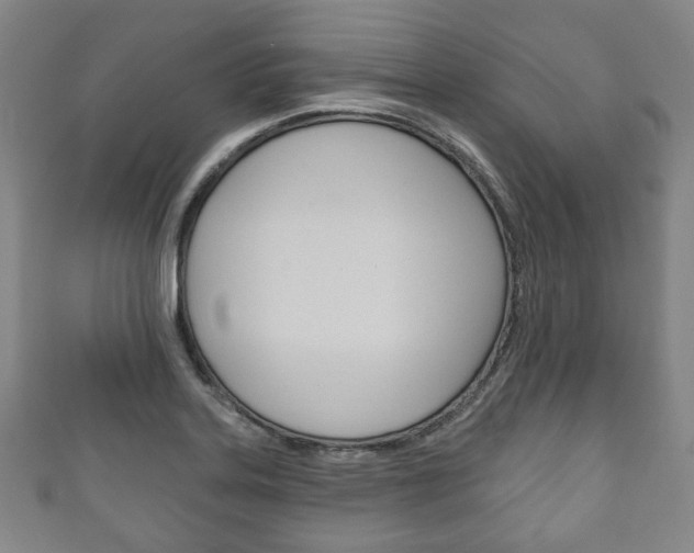X0000111241323200907020950