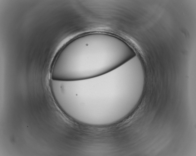 X0000111241324200907020950