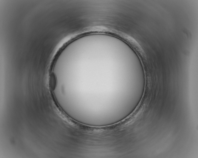 X0000111241326200907020950