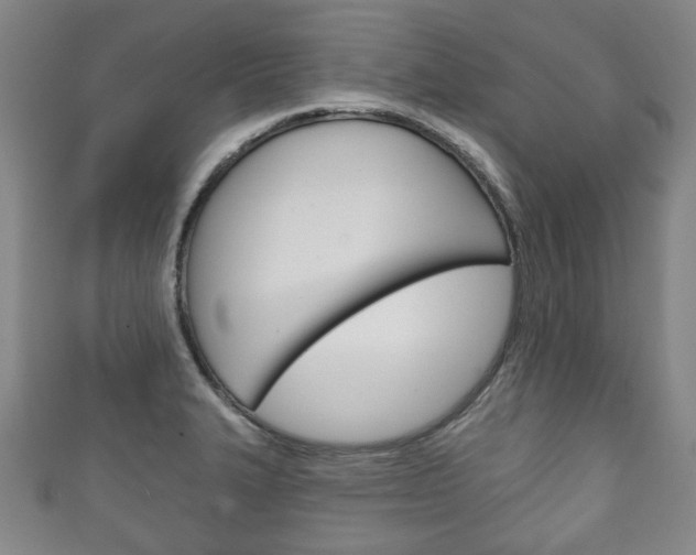 X0000111241327200907020950
