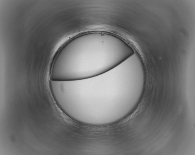 X0000111241328200907020950