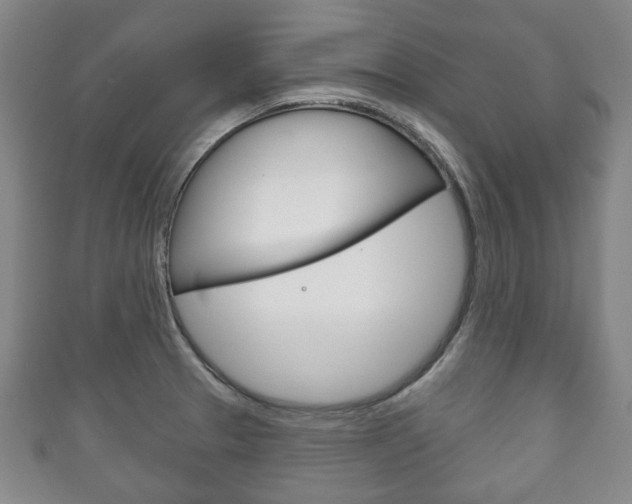 X0000111241329200907020950