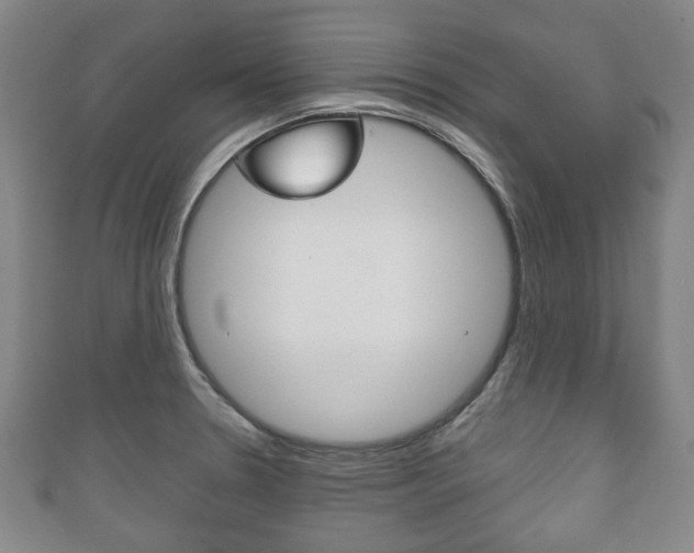 X0000111241330200907020950