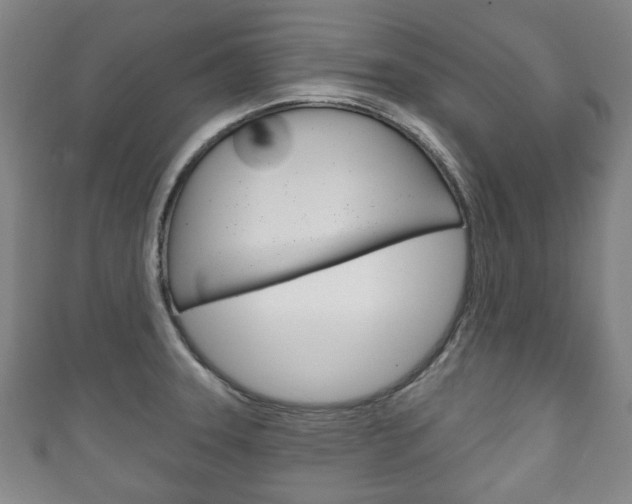 X0000111241331200907020950