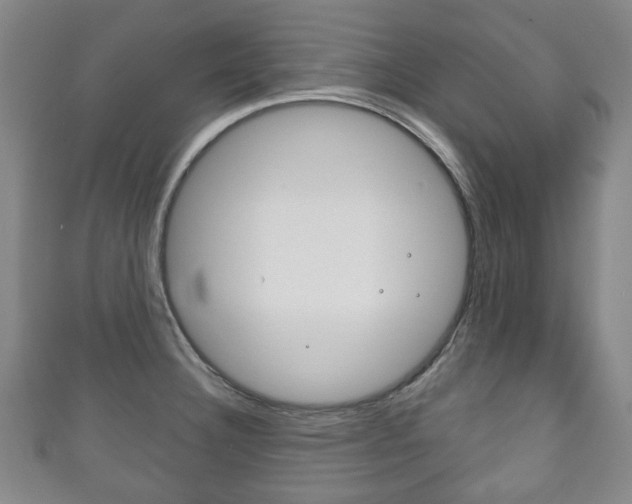 X0000111241332200907020950