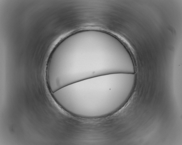 X0000111241333200907020950
