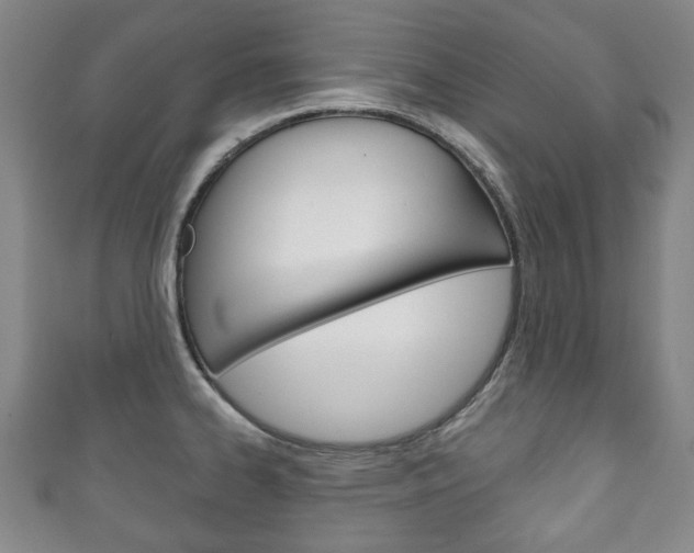X0000111241334200907020950