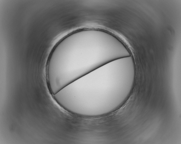 X0000111241335200907020951