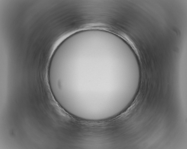 X0000111241336200907020951