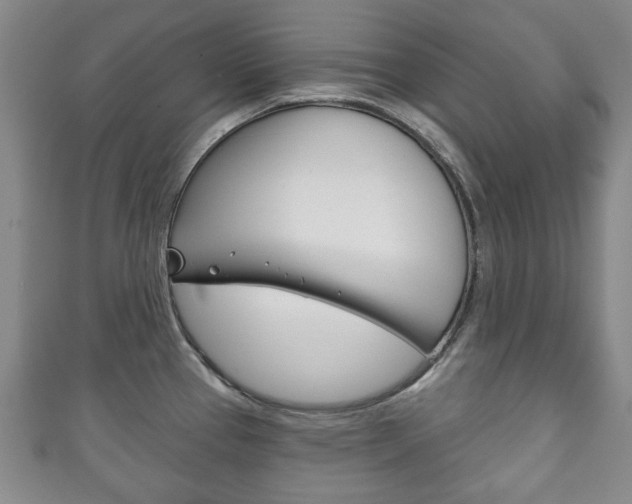 X0000111241337200907020951