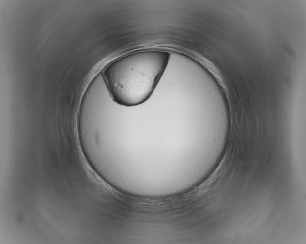 X0000111241338200907020951