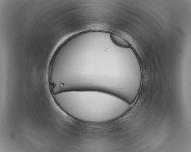 X0000111241339200907020951