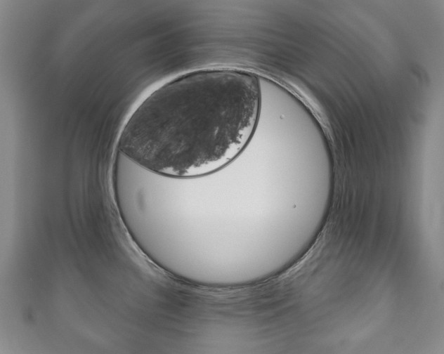 X0000111241340200907020951