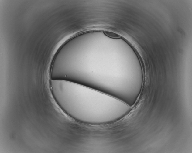X0000111241341200907020951