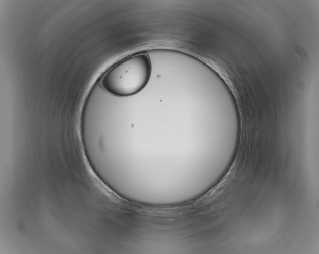 X0000111241342200907020951