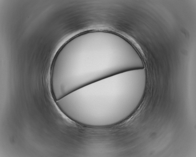 X0000111241343200907020951