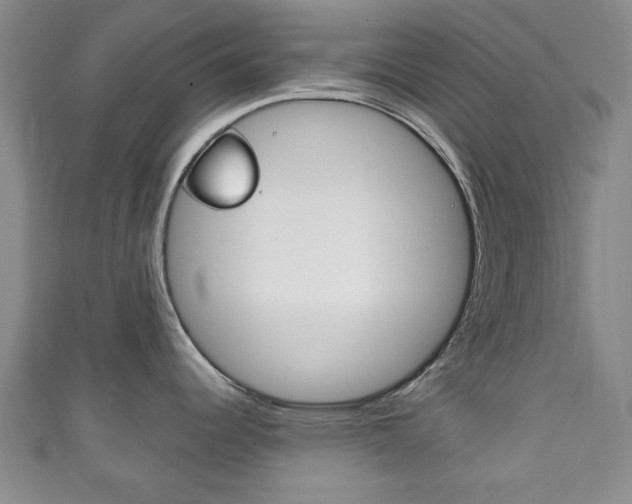 X0000111241344200907020951