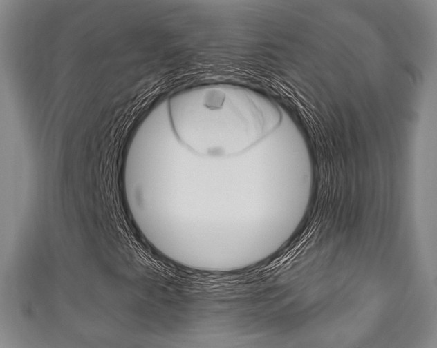 X0000111241345200907020950