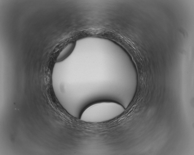 X0000111241349200907020950