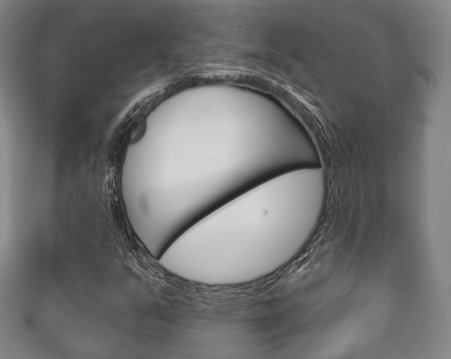 X0000111241351200907020950