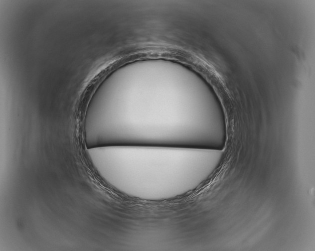 X0000111241352200907020950