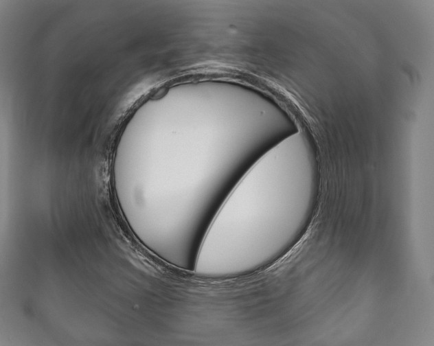 X0000111241355200907020950