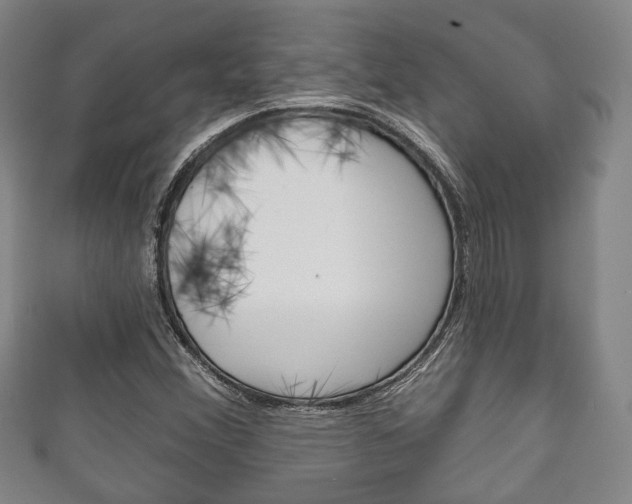 X0000111241356200907020950