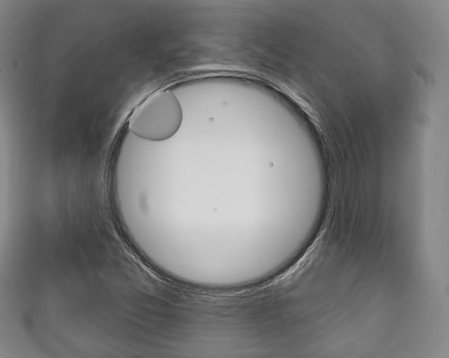 X0000111241357200907020950