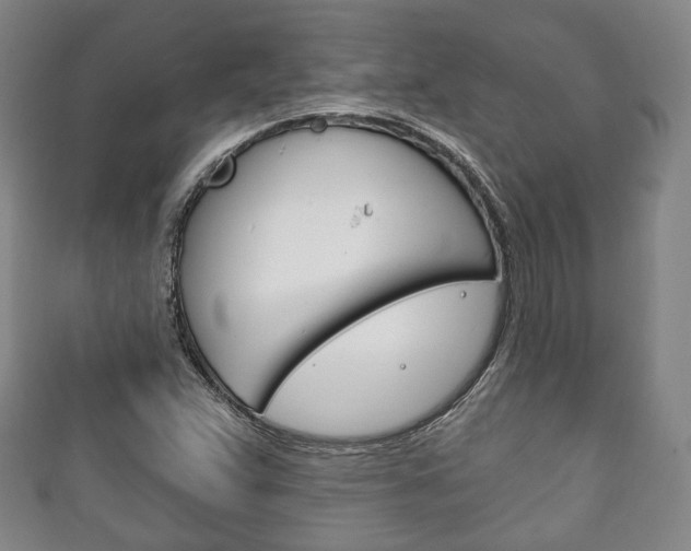 X0000111241359200907020950