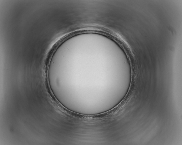 X0000111241360200907020950
